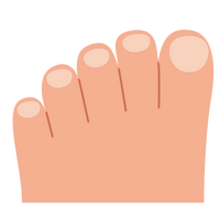 Wide Toe Box
